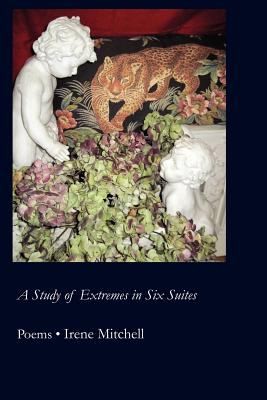 Cover for A Study Of Extremes In Six Suites Poems