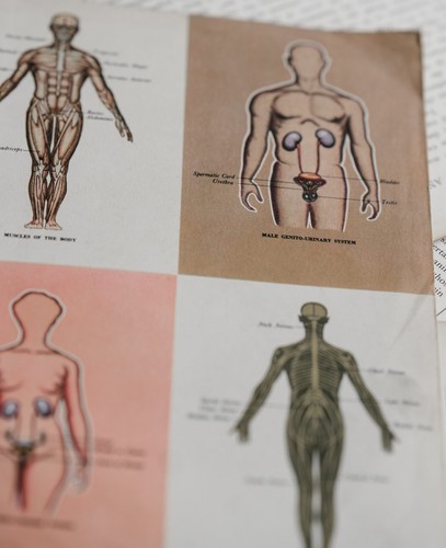 Cover for Building a Medical Terminology Foundation