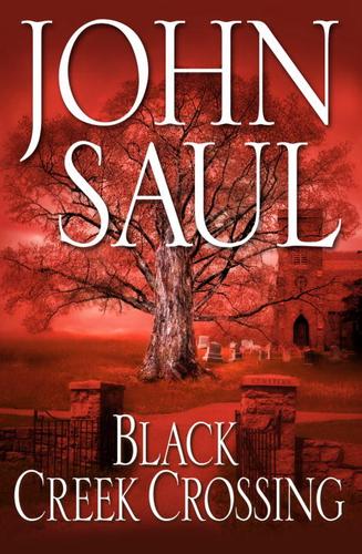 Cover for Black Creek Crossing