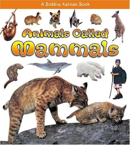 Cover for Animals Called Mammals (What Kind of Animal Is It?)