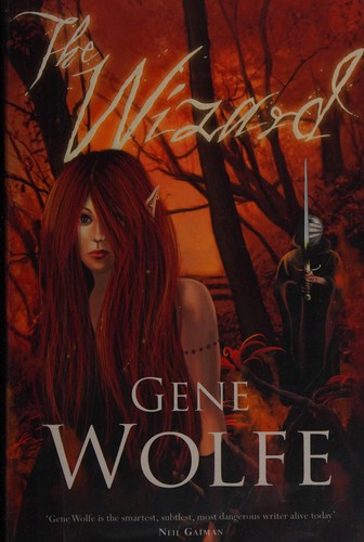Cover for The wizard