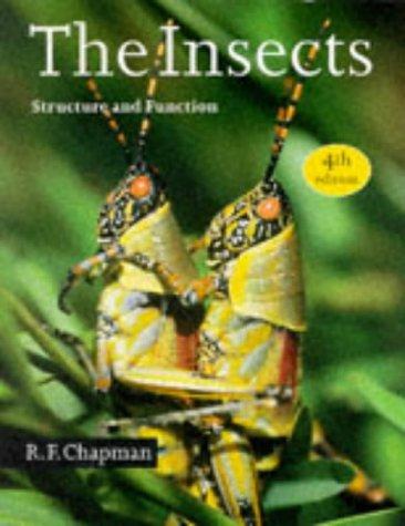 Cover for The Insects