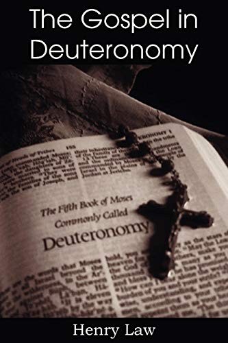 Cover for The Gospel in Deuteronomy