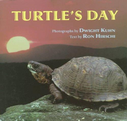 Cover for Turtle's day