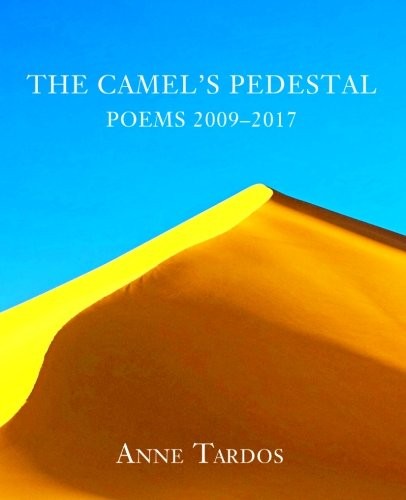 Cover for The Camel's Pedestal