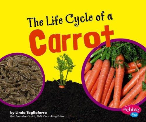 Cover for The Life Cycle of a Carrot