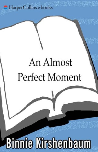 Cover for An almost perfect moment