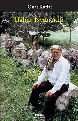 Cover for Bahar Isyancidir