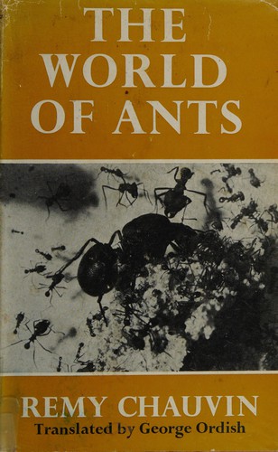 Cover for The world of ants