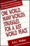 Cover for One world, many worlds