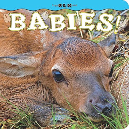 Cover for Elk Babies!