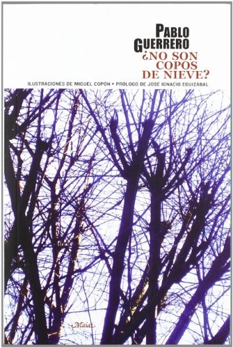 Cover for ¿No son copos de nieve?