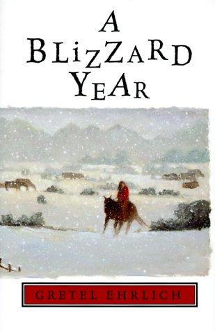 Cover for A blizzard year