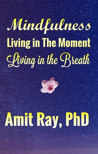 Cover for Mindfulness Living in the Moment Living in the Breath