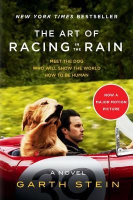 Cover for The Art Of Racing In The Rain