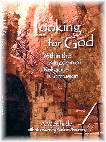 Cover for Looking for God within the Kingdom of Religious Confusion