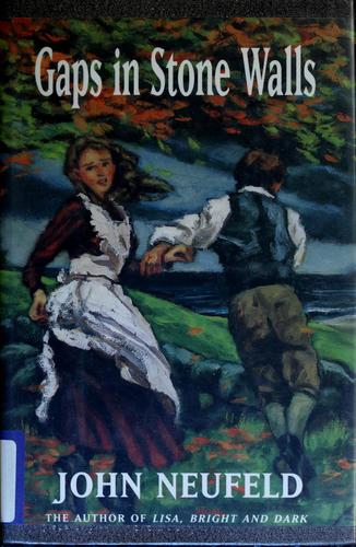 Cover for Gaps in stone walls