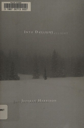 Cover for Into daylight