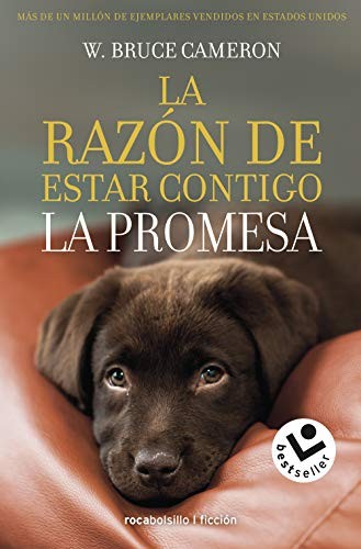 Cover for La razón de estar contigo. La promesa