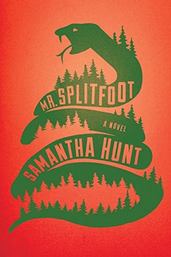 Cover for Mr. Splitfoot