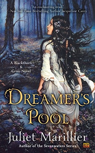 Cover for Dreamer's Pool