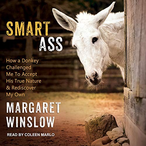 Cover for Smart Ass