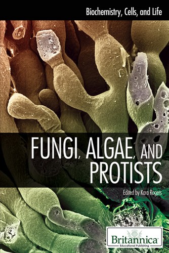 Cover for Fungi, algae, and protists