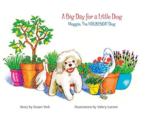 Cover for A Big Day for a Little Dog