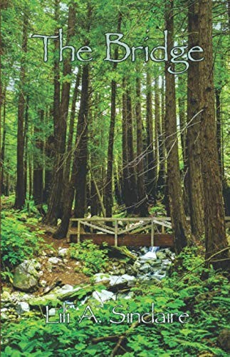 Cover for The Bridge