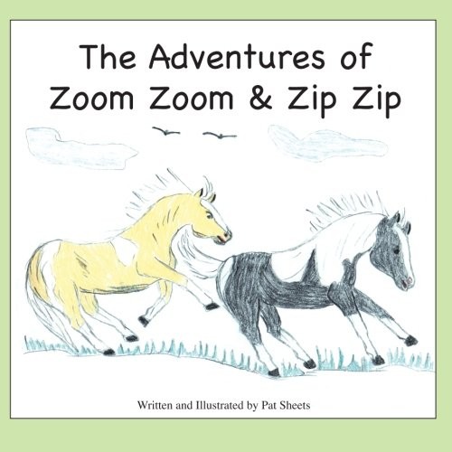 Cover for The Adventures of Zoom Zoom & Zip Zip