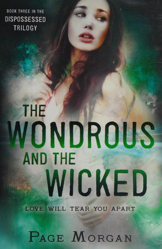 Cover for The Wondrous and the wicked