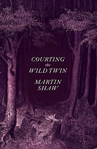 Cover for Courting the Wild Twin
