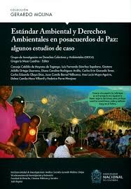 Cover for Estándar ambiental y derechos ambientales en posacuerdos de paz : algunos estudios de caso (1. edición) (2019)