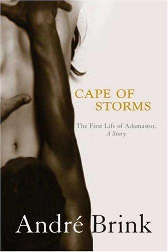 Cover for Cape of Storms