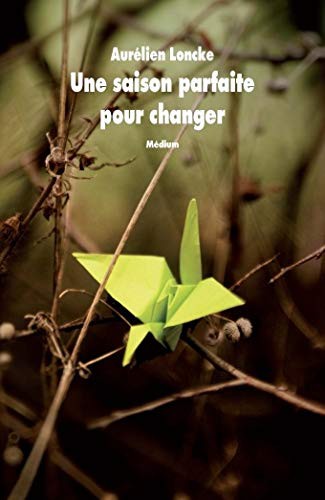 Cover for Saison parfaite pour changer