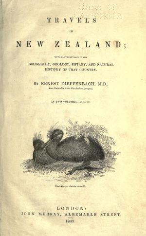 Cover for Travels in New Zealand