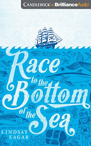 Cover for Race to the Bottom of the Sea