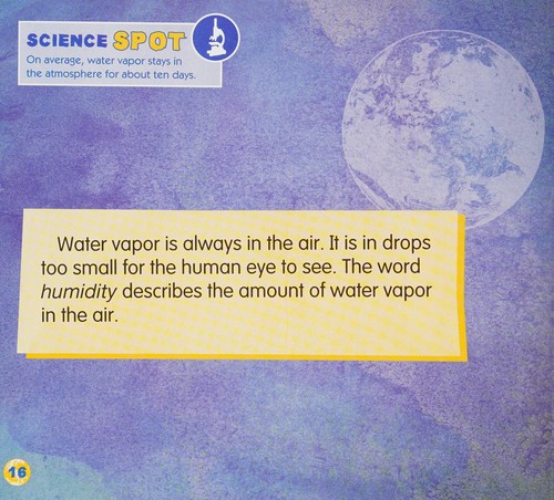 Cover for The water cycle