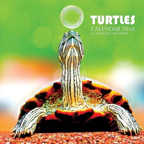 Cover for Turtles Calendar 2018