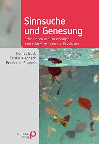Cover for Sinnsuche und Genesung