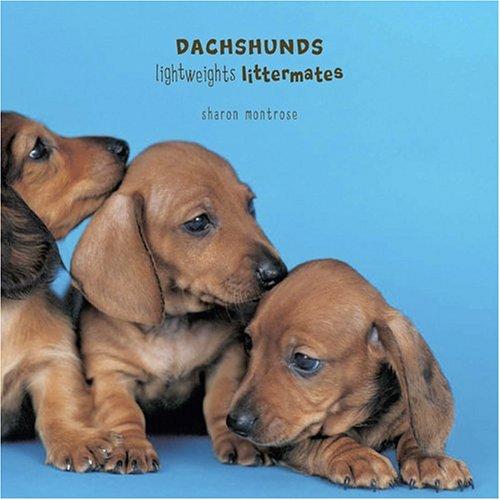 Cover for Dachshunds