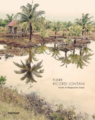 Cover for Ricordi lontani