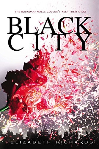 Cover for Black City (A Black City Novel)