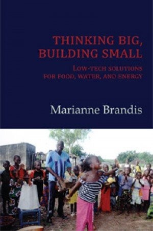 Cover for Thinking Big, Building Small
