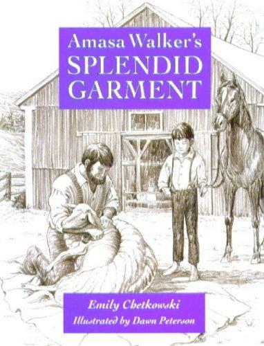 Cover for Amasa Walker's splendid garment