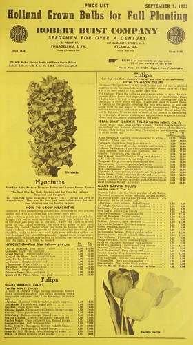 Cover for Holland grown bulbs for fall planting