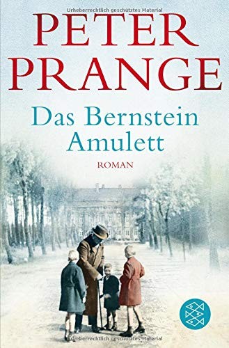 Cover for Das Bernstein-Amulett