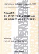 Cover for Analysis on Infinite-Dimensional Lie Groups and Algebras