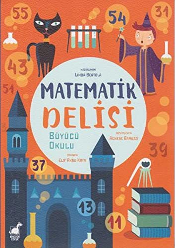 Cover for Matematik Delisi; Büyücü Okulu