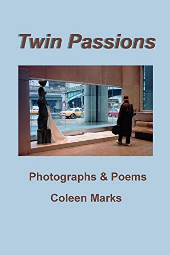 Cover for Twin Passions